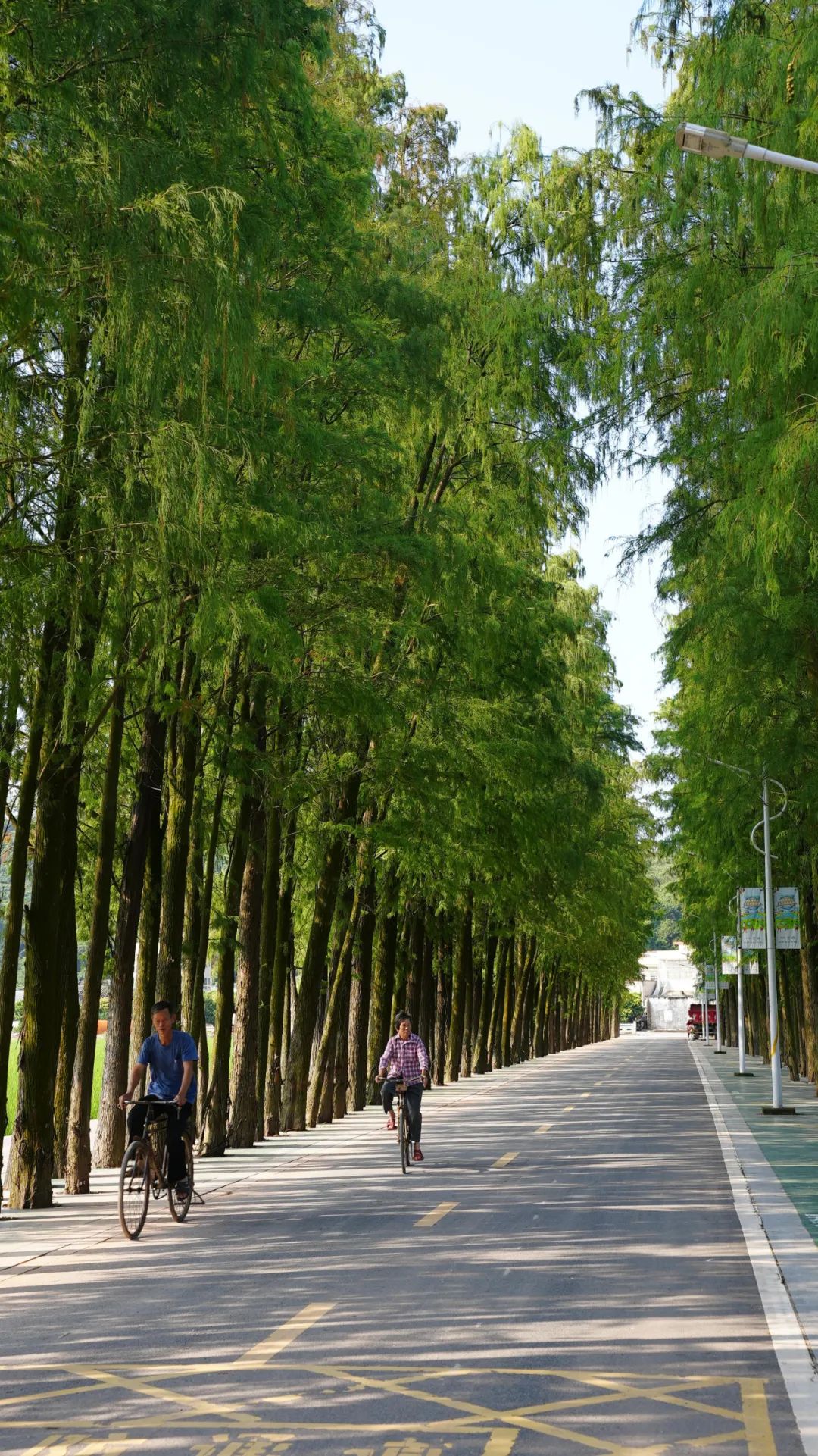 1732179662397534.jpg 65.jpg